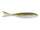 Pumpkin Shad
