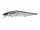 Deadly Black Shad