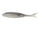 Smoky Shad