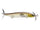 Ghost Minnow