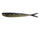 Black/Gold Shiner.  095