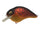 E2Craw