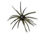 Fishco Okane 17.8mm