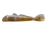 Grumpy- Swim-Goby 3.6”