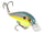 Chartreuse Sexy Shad