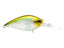 Ghost Pearl Shad