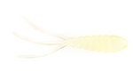 Shrimp Maggot