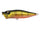 Perch