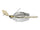 Japan shad