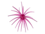 Hag’s Baits Prickly Pear