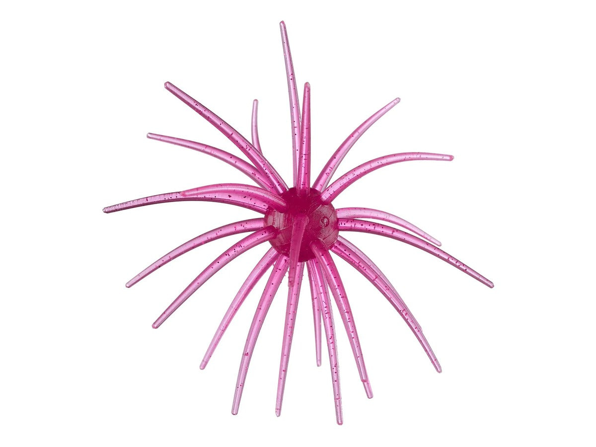 Hag’s Baits Prickly Pear