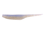 Duo Realis Versa Pintail 3.0”