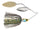 Green Shad