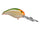 Parrot/Orange