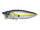 Mega Bass Sexy Shad