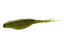 Watermelon Seed