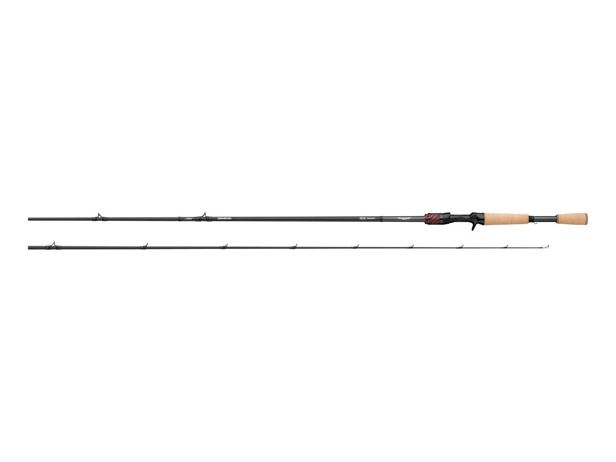 Daiwa Steez STAGS