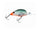 Ghost Craw