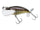 Chartreuse Gill