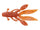 Fire craw