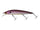 Burgundy Shad