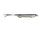 Black Shad