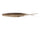 Rainbow shad