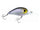Ghost Minnow