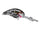 Grenada Shad (Crappie)