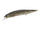 Goby ND