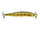 Gold perch