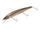 Minnow