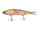 Trout