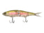 Trout