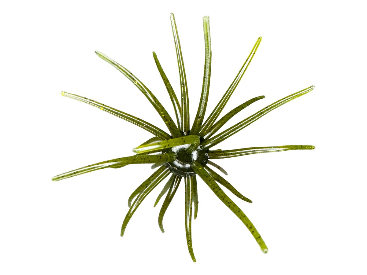 Hag’s Baits Prickly Pear