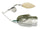 Smallmouth magic