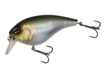 Geecrack Avanti Magnum MR