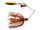 Bleeding Golden Shiner