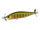 Gold Perch