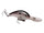 Green Gizzard Shad