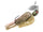 Green pumpkin craw