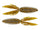 Green Goby
