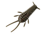Great Lakes Ned Bug