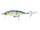Ghost Bone Minnow