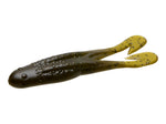 Zoom Horny Toad