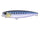 Bleeding Sardine