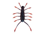 6th Sense HuzzBug