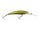 Golden Shad