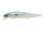 Sexy shad