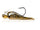 Golden shiner
